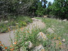 photo thumbnail #1