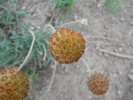 photo thumbnail #13