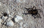 photo thumbnail #3