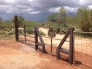 photo thumbnail #8