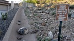 photo thumbnail #4