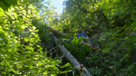 photo thumbnail #6