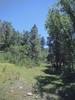 photo thumbnail #3