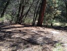 photo thumbnail #13