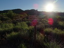 photo thumbnail #7