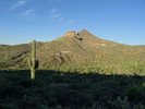 photo thumbnail #8
