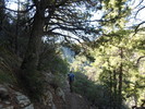photo thumbnail #1