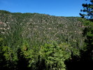 photo thumbnail #9