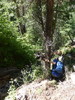 photo thumbnail #10