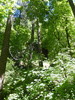 photo thumbnail #11