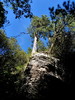 photo thumbnail #13