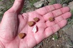 photo thumbnail #4