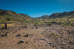 photo thumbnail #4
