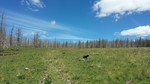 photo thumbnail #7