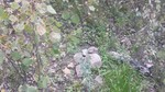photo thumbnail #10