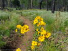 photo thumbnail #11