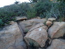 photo thumbnail #8
