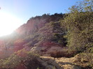 photo thumbnail #9