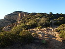 photo thumbnail #11