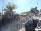 photo thumbnail #3