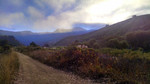 photo thumbnail #3