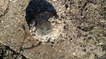 photo thumbnail #14