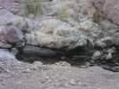 photo thumbnail #9