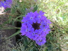 photo thumbnail #13
