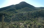 photo thumbnail #4