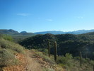 photo thumbnail #5
