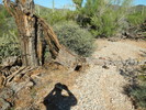 photo thumbnail #8