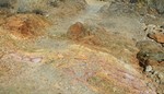 photo thumbnail #13