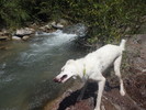 photo thumbnail #7