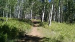 photo thumbnail #5