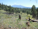 photo thumbnail #9