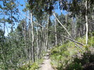 photo thumbnail #8