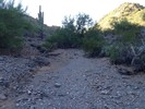 photo thumbnail #4