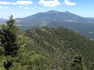 photo thumbnail #12