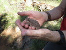 photo thumbnail #15