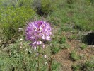 photo thumbnail #10