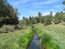 photo thumbnail #11