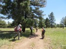 photo thumbnail #15