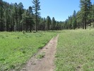 photo thumbnail #8