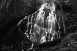 Featured Full Photo