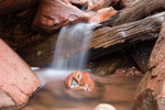 photo thumbnail #6