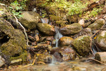 photo thumbnail #9