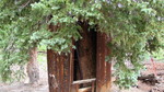 photo thumbnail #10