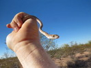 photo thumbnail #1