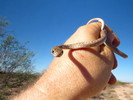 photo thumbnail #2
