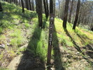 photo thumbnail #3